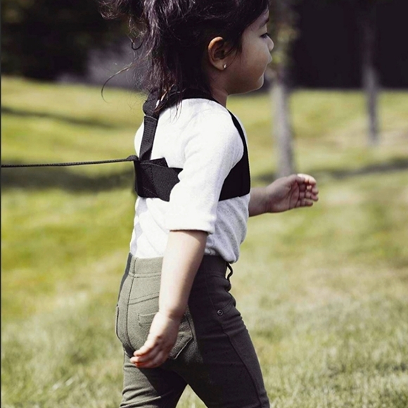 Diono Toddler Safety Harness - Picture 2 of 4